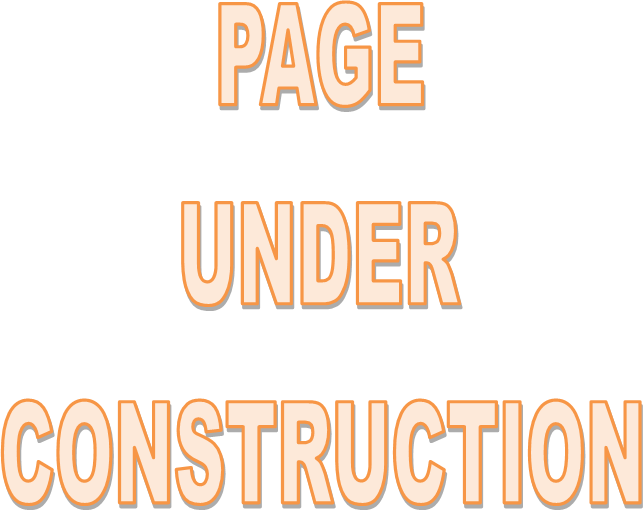 PAGE
UNDER
CONSTRUCTION